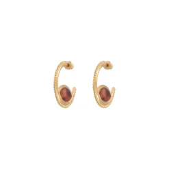 Atria hoop earrings - tortoiseshell
